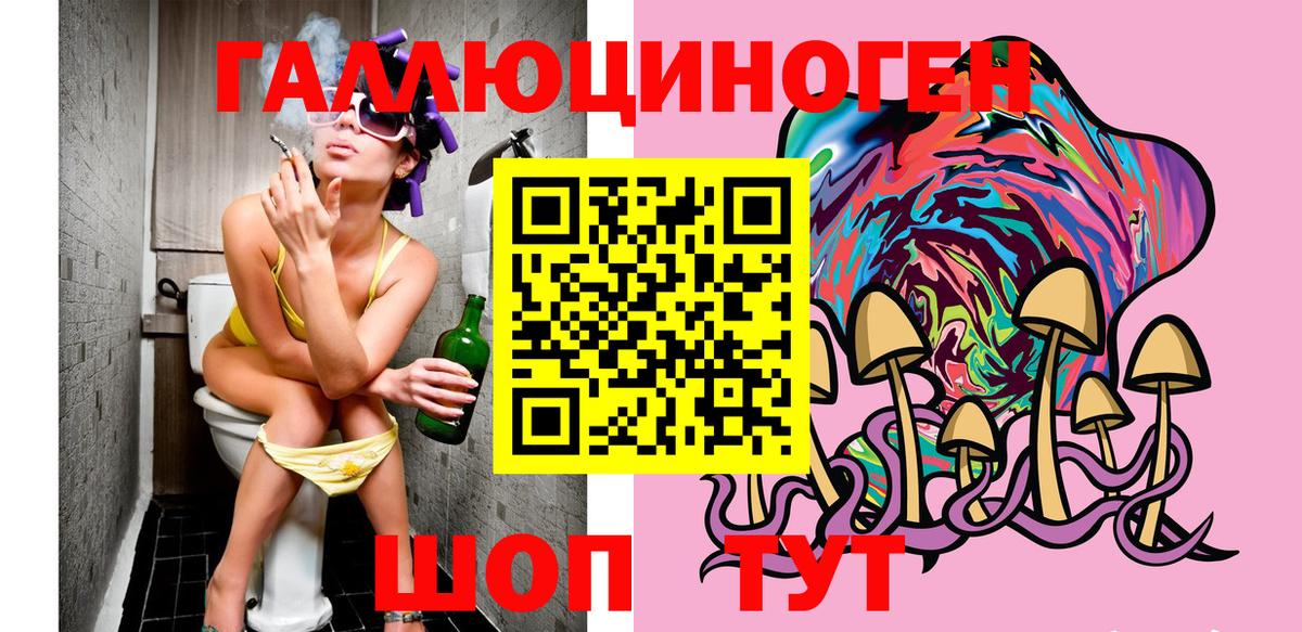 закладка  Вход с VPN  Геленджик  Псилоцибиновые грибы Psilocybe 