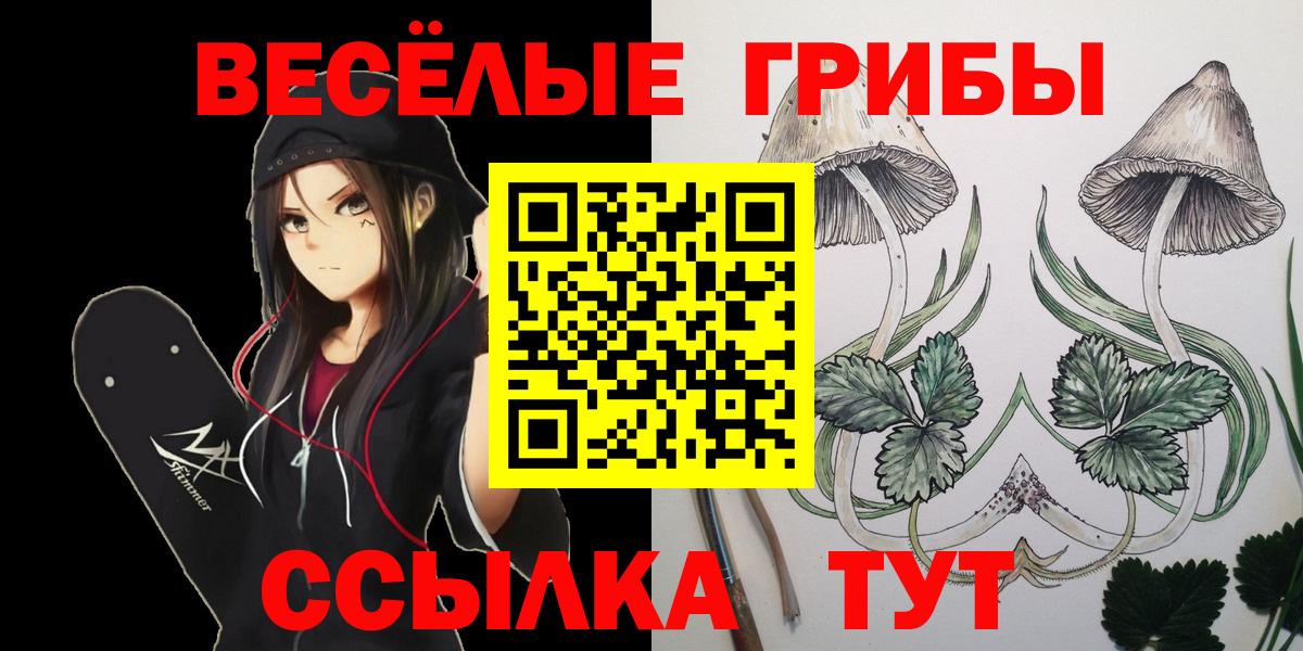 Галлюциногенные грибы Psilocybine cubensis Геленджик